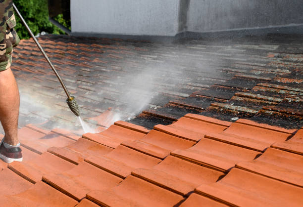 Best Sidewalk Pressure Washing  in Idalou, TX